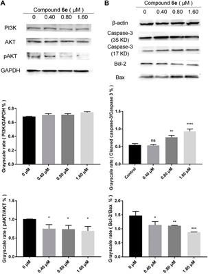 Design, synthesis and anticancer activity studies of 3-(coumarin-3-yl)-acrolein derivatives: Evidenced by integrating network pharmacology and vitro assay